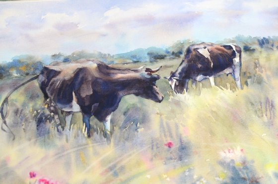Two black and white cows in a meadow, Grazing animals, Peaceful landscape