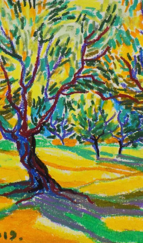 Olive grove No 6 by Maja Grecic