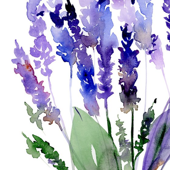 Purple lavender watercolor