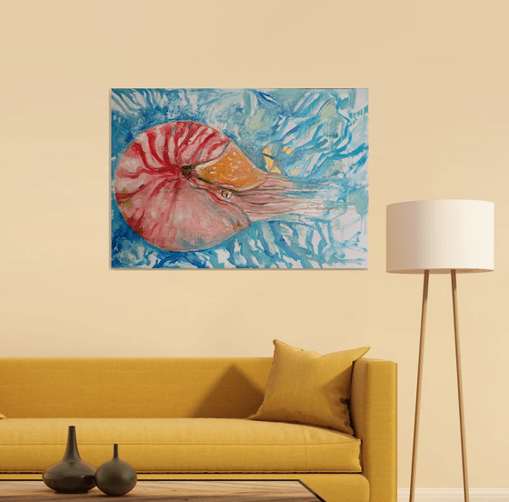 Nautilus Pompilus