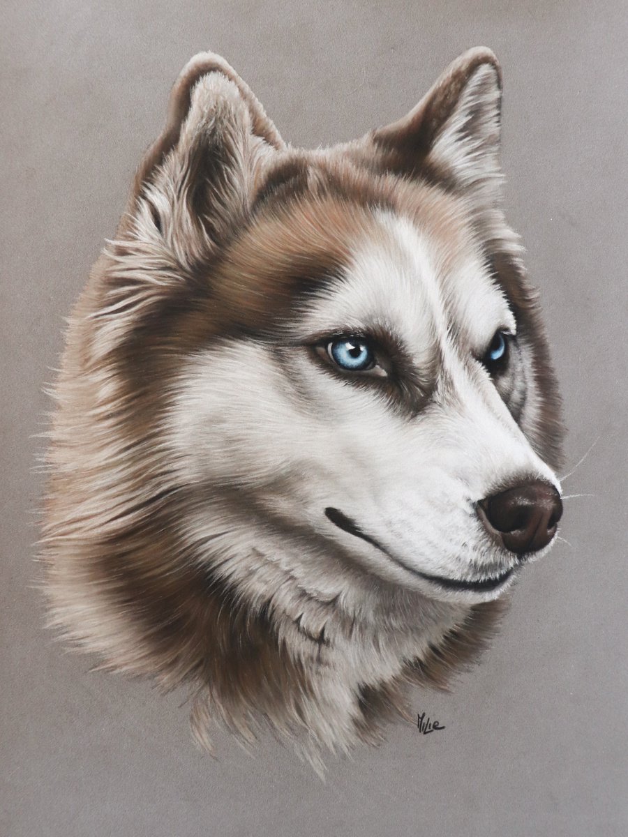 HUSKY by Milie Lairie