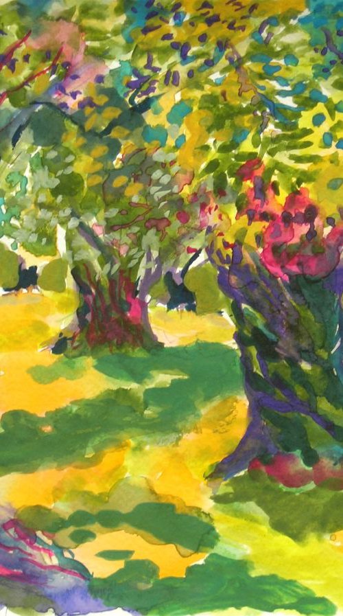 In the shade of olive trees by Maja Grecic