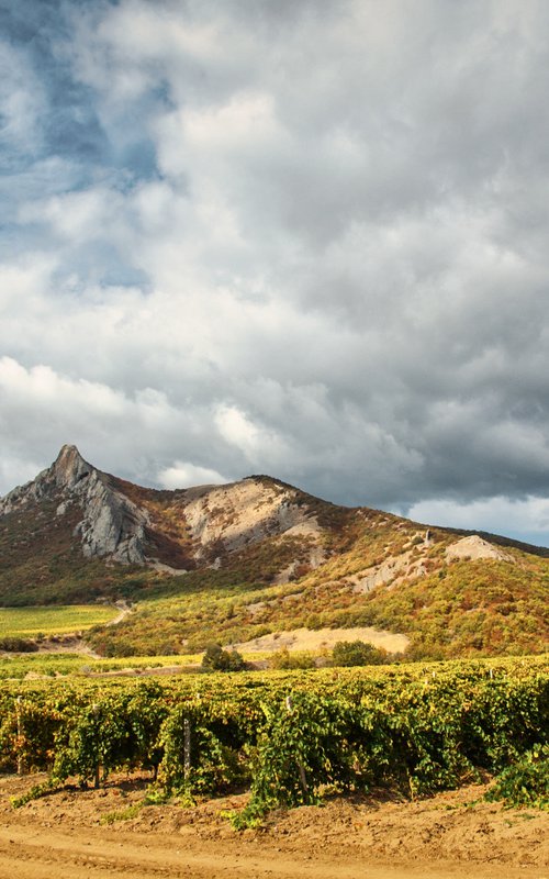 Crimean landscape by Vlad Durniev