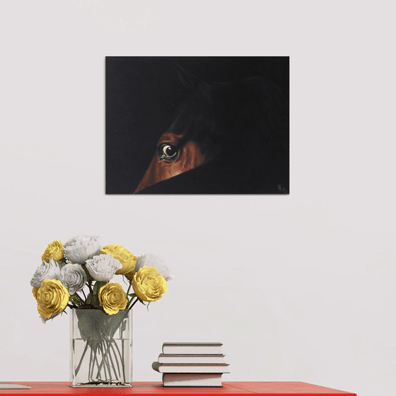 horse eye