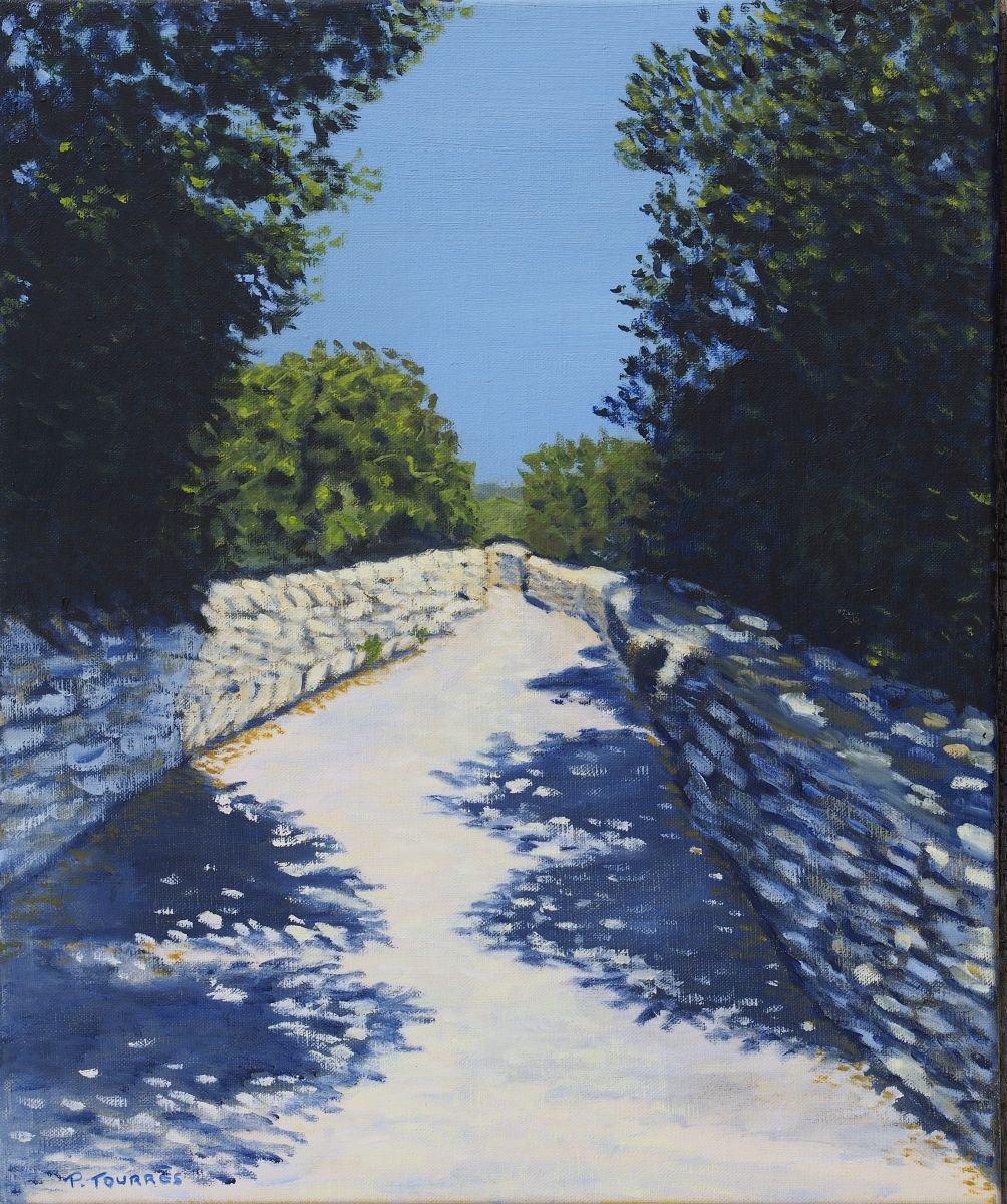 Lane near Gordes in Provence - Chemin pres de Gordes en Provence by Patricia TOURRES