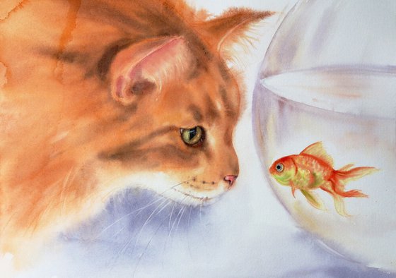 Who Blinks First - Red cat and Bowl of Goldfish  - Ginger Cat