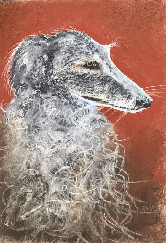 Dogs Portraits Soft Pastel