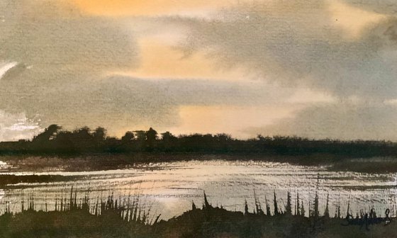 Wareham heath in Winter, Dorset