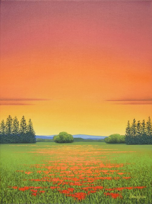 Orange Blooms - Flower Field by Suzanne Vaughan