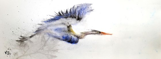 Great Blue Heron #2
