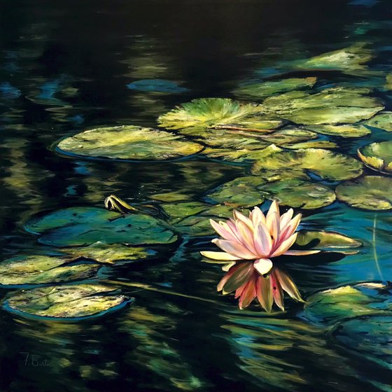 "In the white lotus flower"