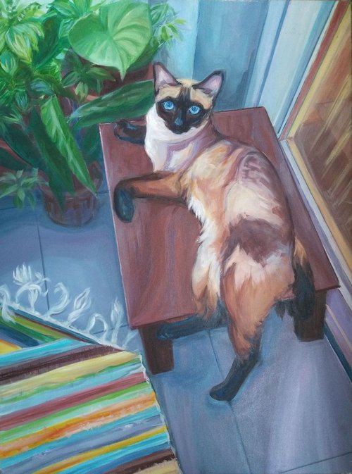 cat on a table by Sara Radosavljevic