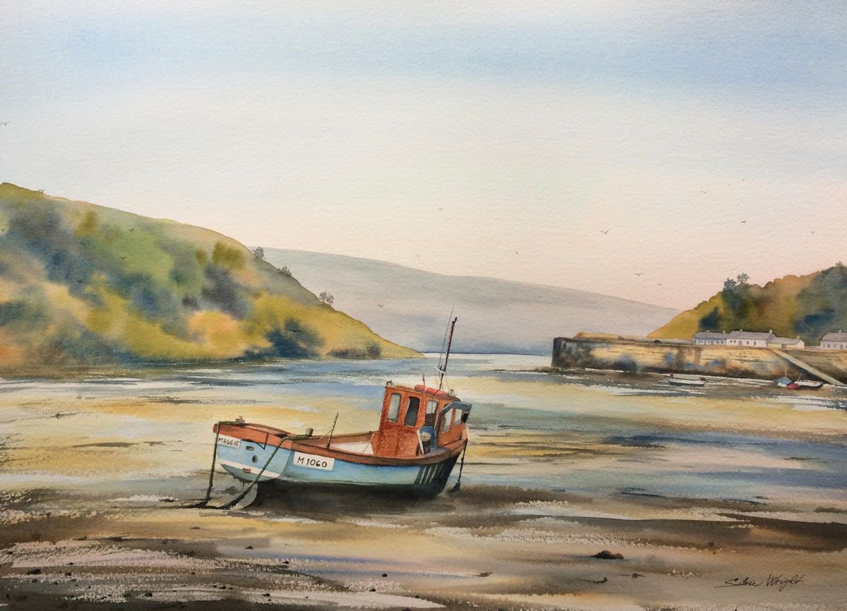 Fishguard harbour by Silvie Wright