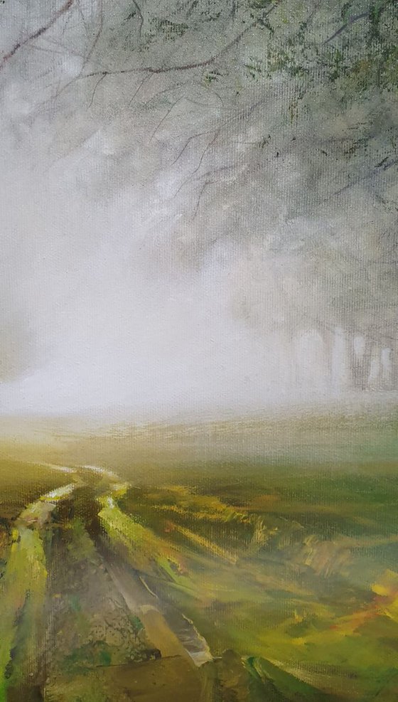 "Green in a foggy  morning"