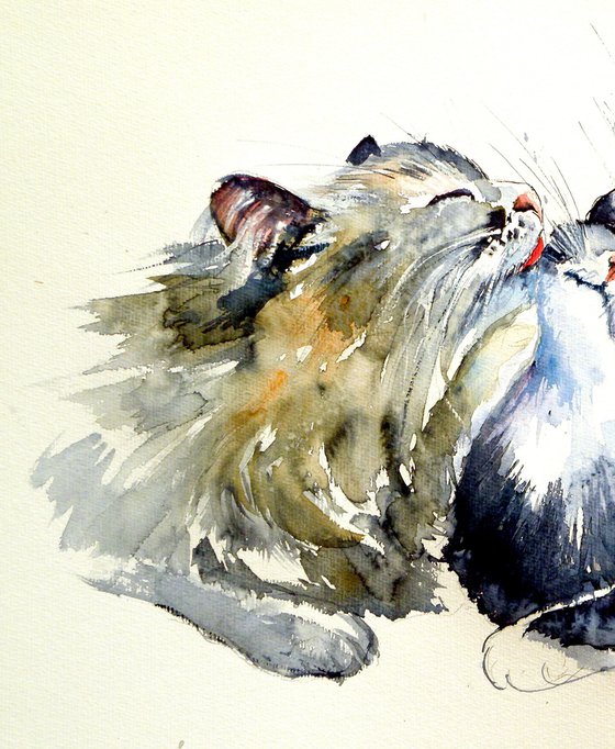 Cats