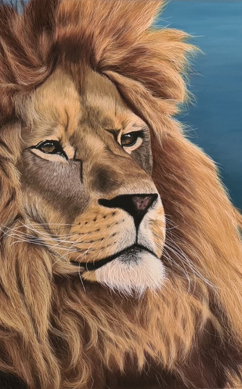 Big lion by Denise Martens