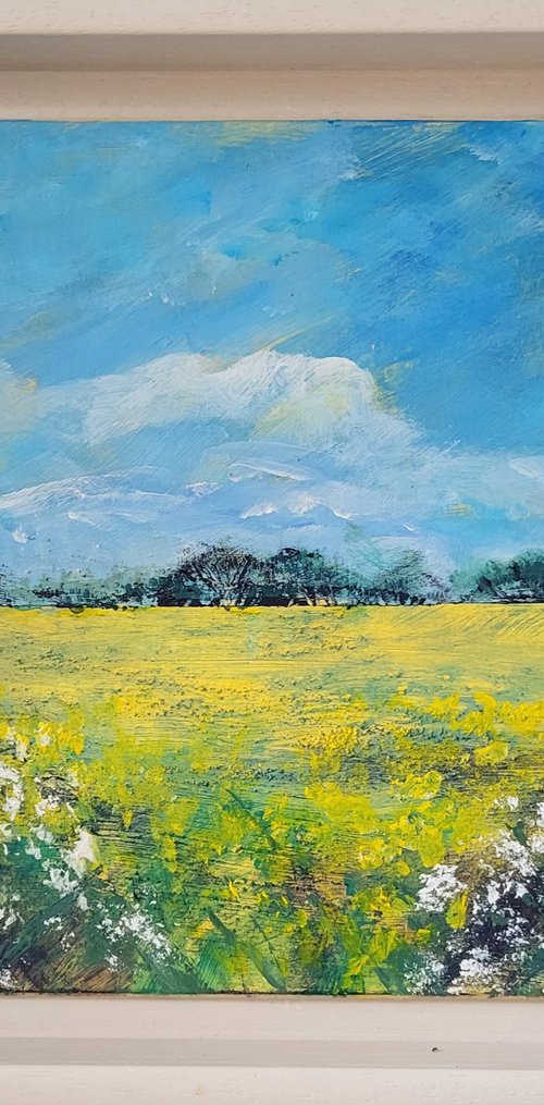 Yellow Field of Summer, Oxfordshire by Michele Wallington