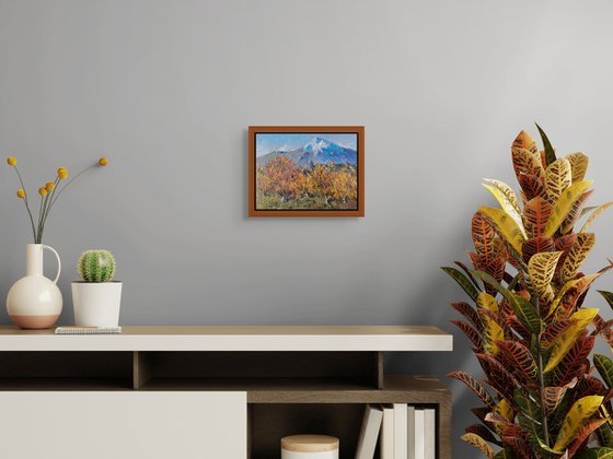 Valley of Golden Gardens