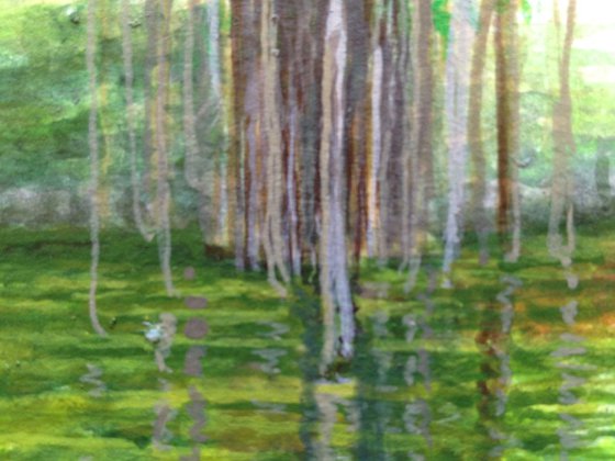 Banyan Tree and Reflections