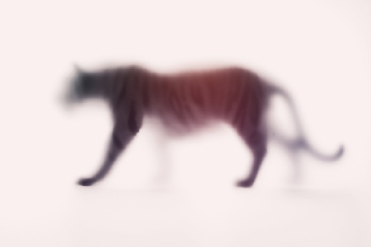 Abstract Animal Photograph By Sven Pfrommer, 47 X 31", Wild Lens - Tiger, Original Artwork