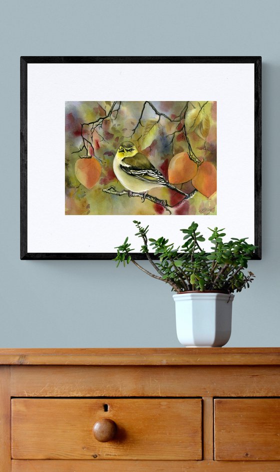 finch with persimmons