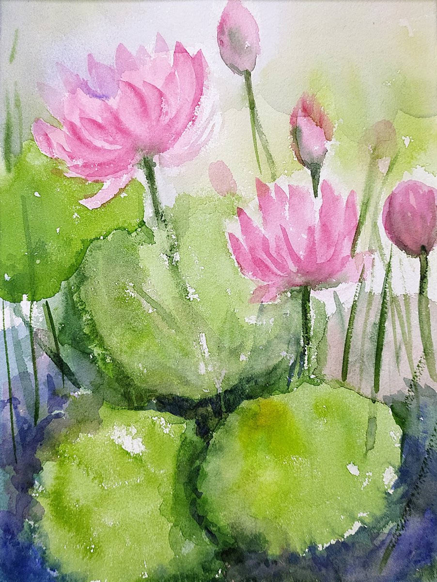 Pink water lilies -1. Waterlilies- Lily pad watercolours on paper by Asha Shenoy