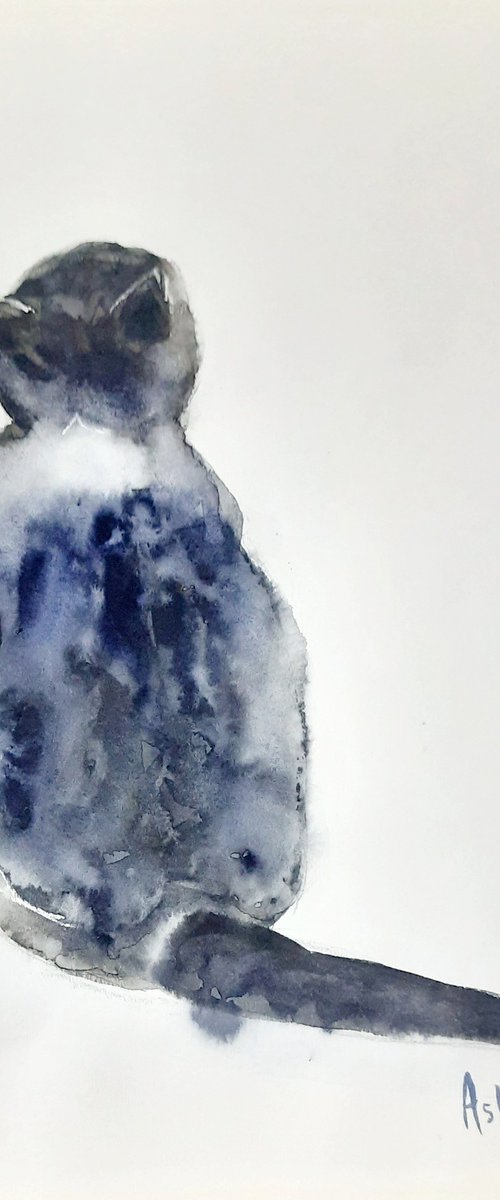 The Tabby kitten Mayuri by Asha Shenoy