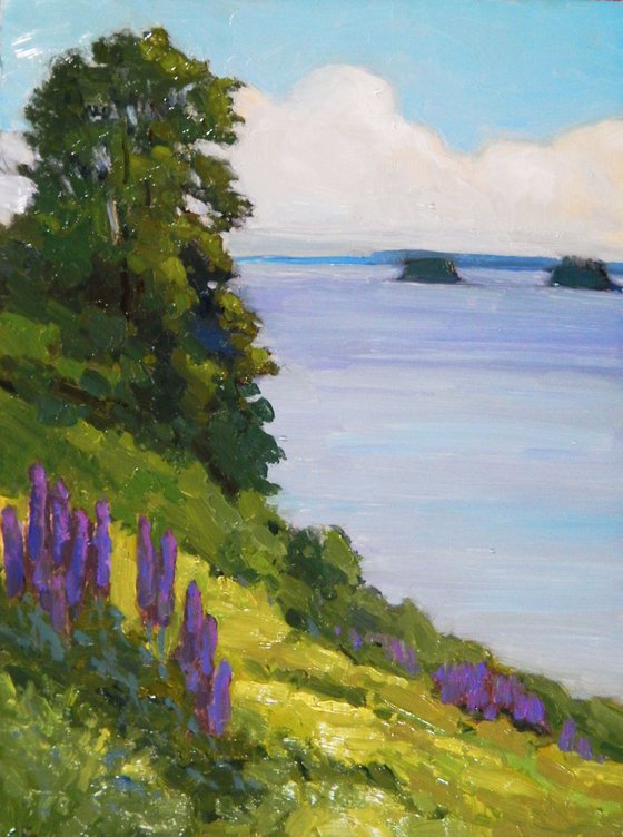 Lupines, Seal Harbor