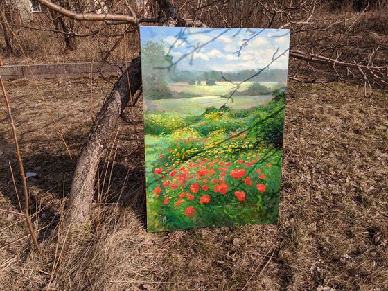 field of poppies