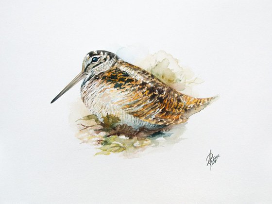 Woodcock
