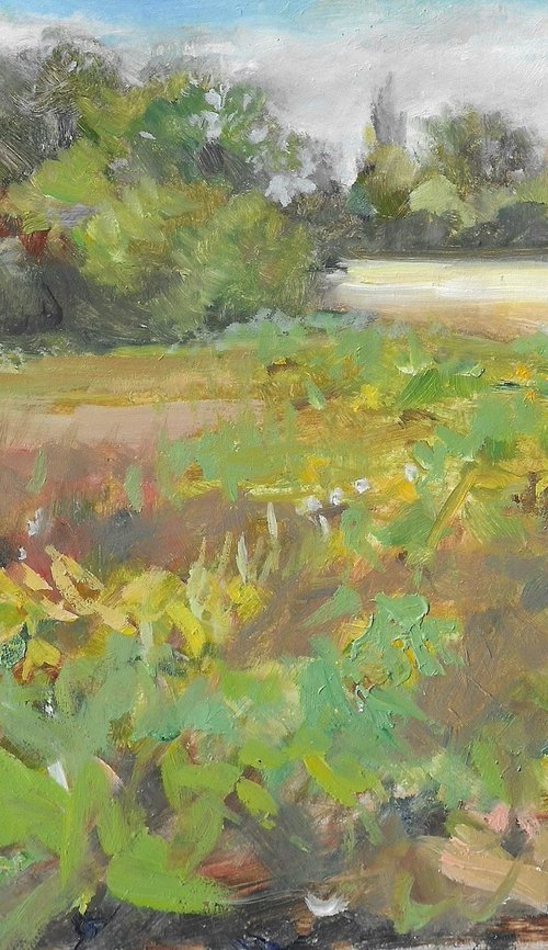 Sunflower Fields by Zoe Posnett