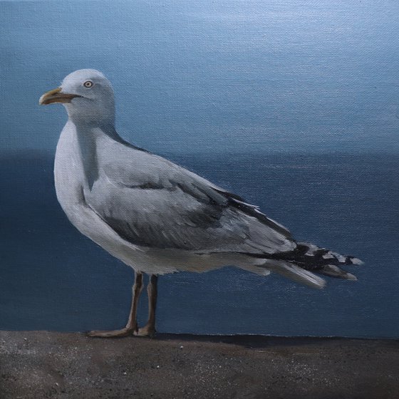 Lockdown Morning Chorus Series - By the Sea, Seagull Painting, Bird Art by Alex Jabore