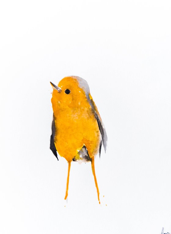 Bird