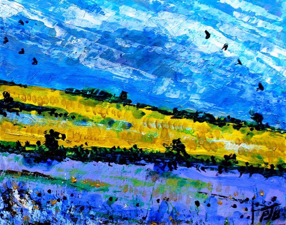 Summer Fields IV