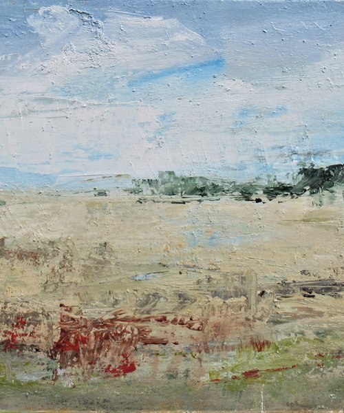 Barleyfield 2 by Sherry Edmondson