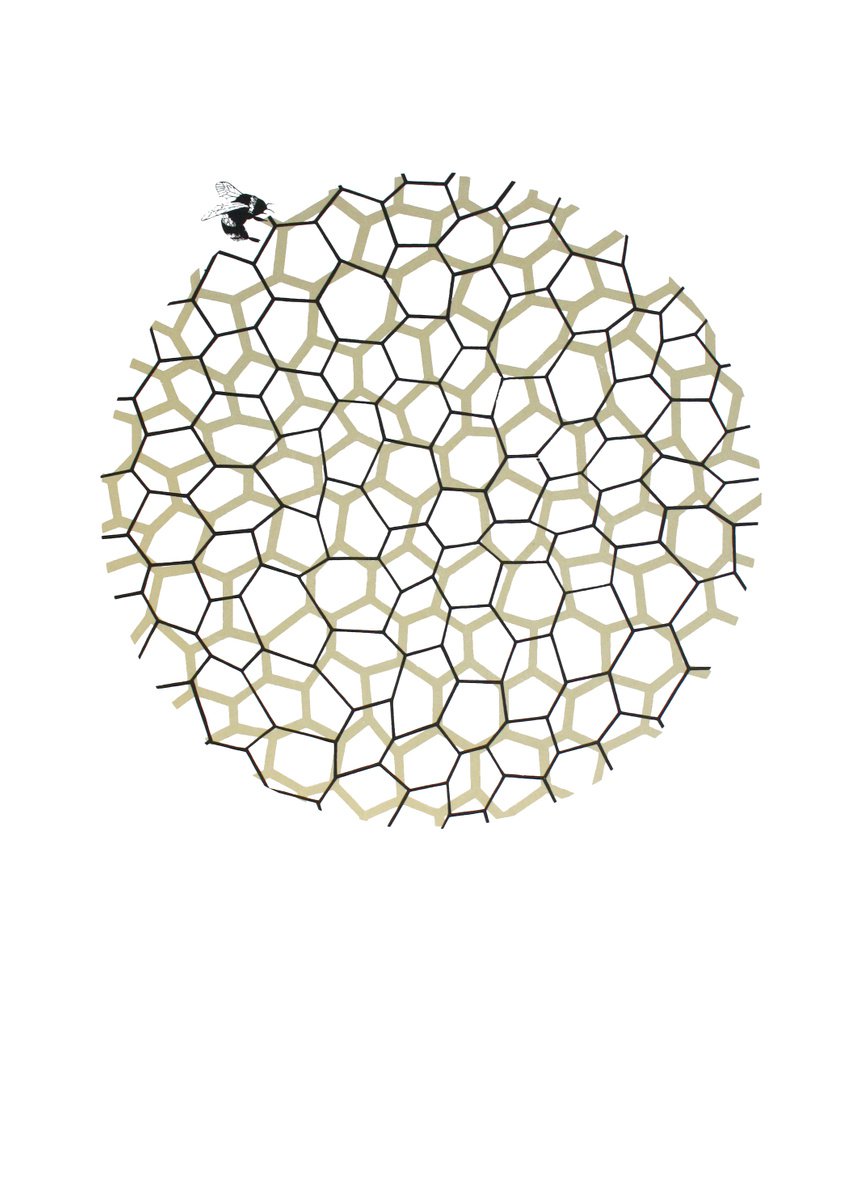 Abstract Screenprint By Kath Edwards, 20 X 28", Patterns Of Nature#2 Honeycomb, Original Artwork