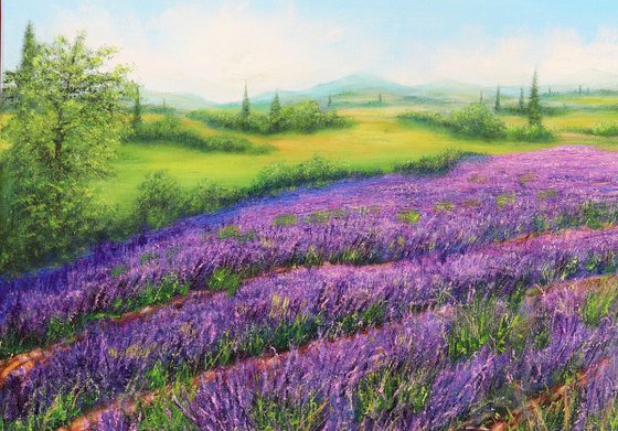 Lavender field