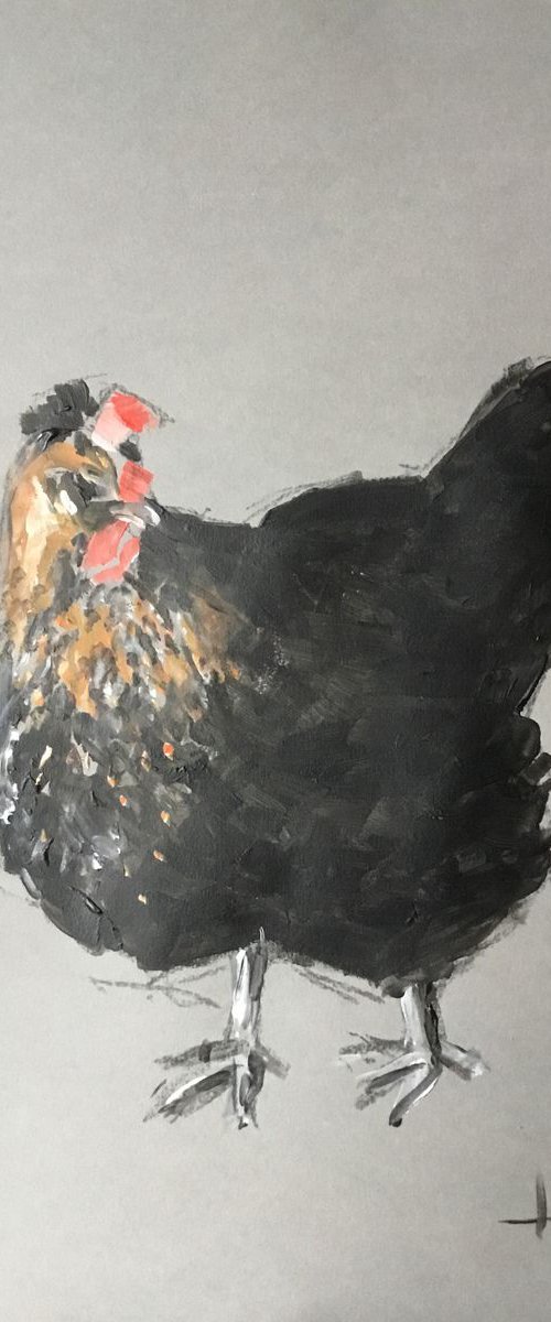 Chicken Study 6 by Dominique Dève