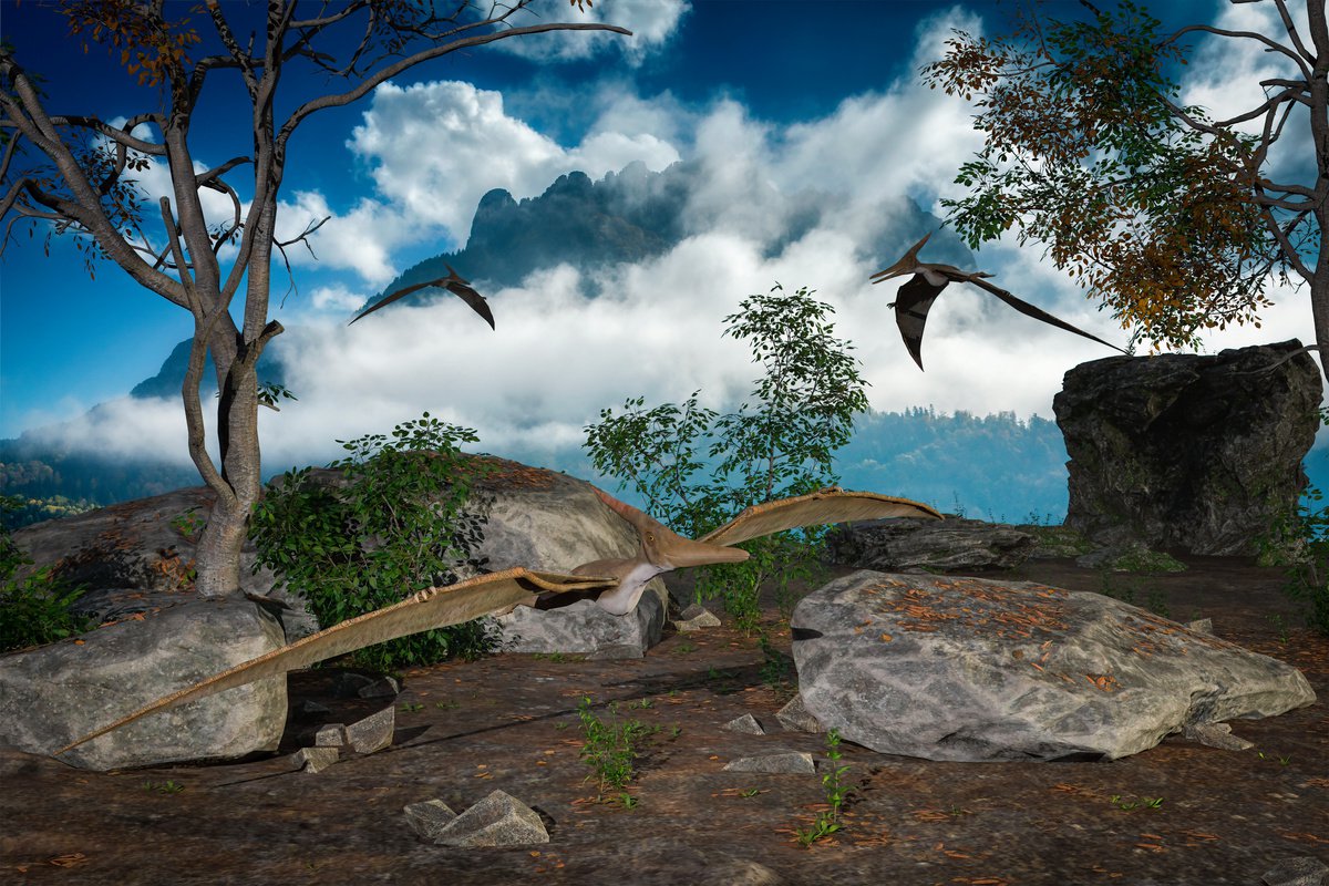 Ptenarodon by Alain Gaymard