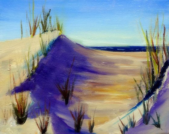 Outer Banks Sand Dunes