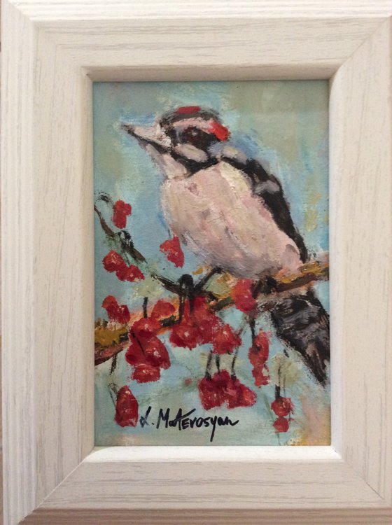 Downy woodpecker