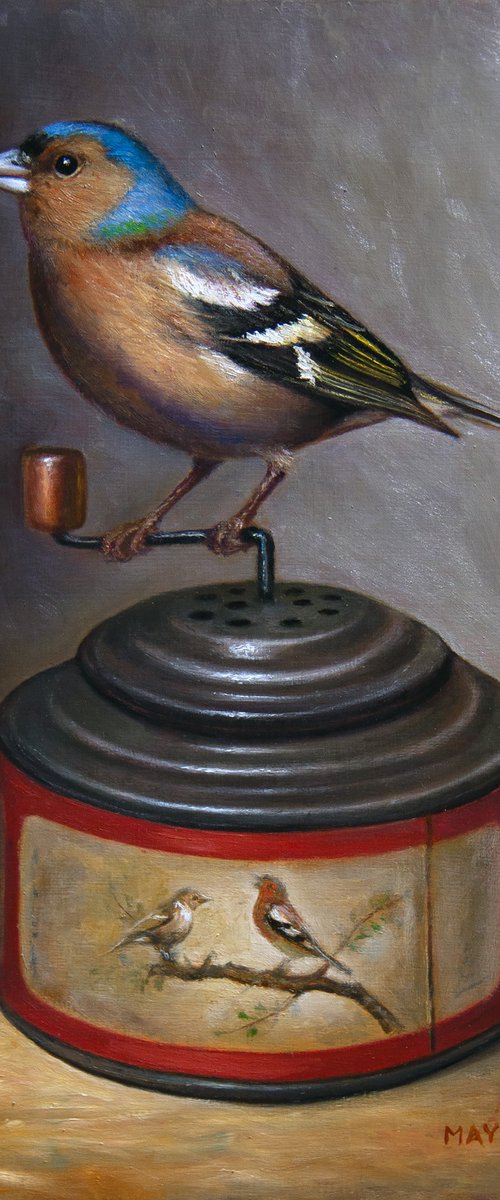 Music by Finch by Mayrig Simonjan