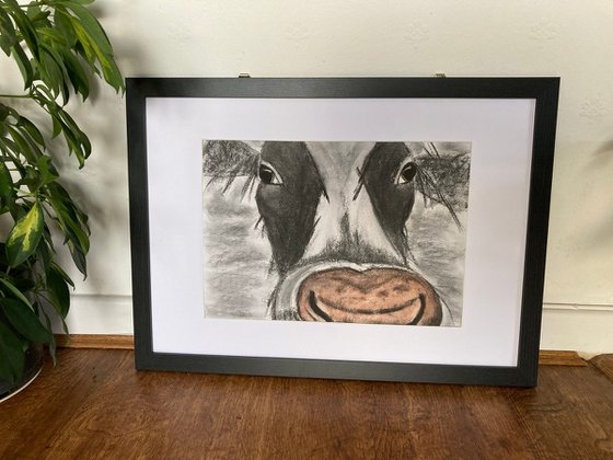 Cow Portrait