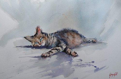 lying cat 6 by Giorgio Gosti