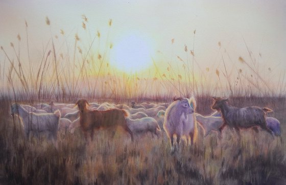 Herd of goats in the sunset   -  goat painting - rural life - country landscape