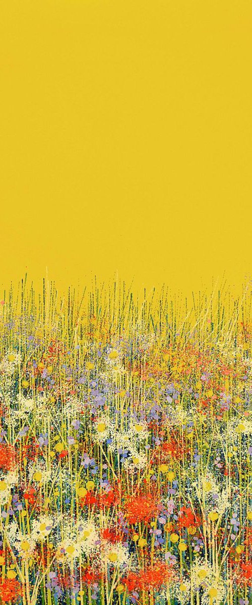 Hot Summer Colours by Marc Todd