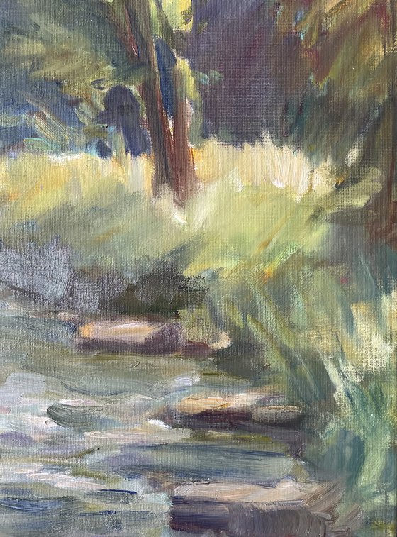 Soft Summer Light