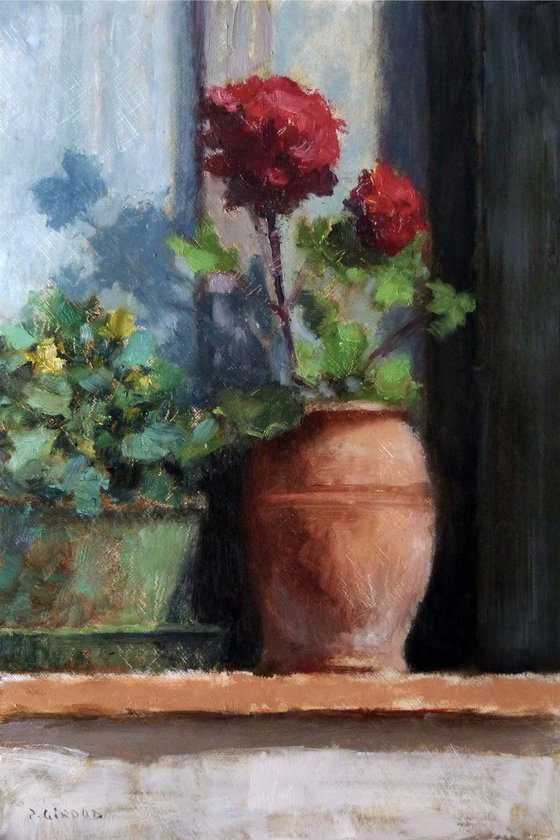 Geraniums