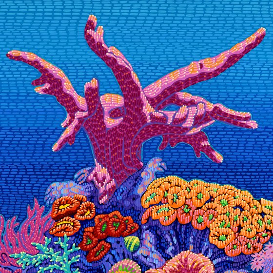 Coral Garden