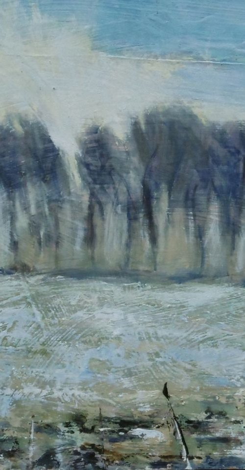 Winter Sun Rising by Nikki Wheeler